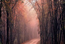 哪个外围平台稳 -凌雄科技发布2025年度ESG报告：深化绿色循环 实现商业价值与社会价值的同频共荣