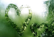 靠谱外围推荐 -上(shàng)海健康播报——三甲医院(yuàn)大直播（第5期(qī)）上(shàng)海市第一人民医院(yuàn)