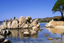 世界杯外围APP -沪滇携手忆峥嵘 鲁口哨畔(pàn)奏壮歌——纪念红军长征胜利90周年主题音(yīn)乐党课在寻甸举行