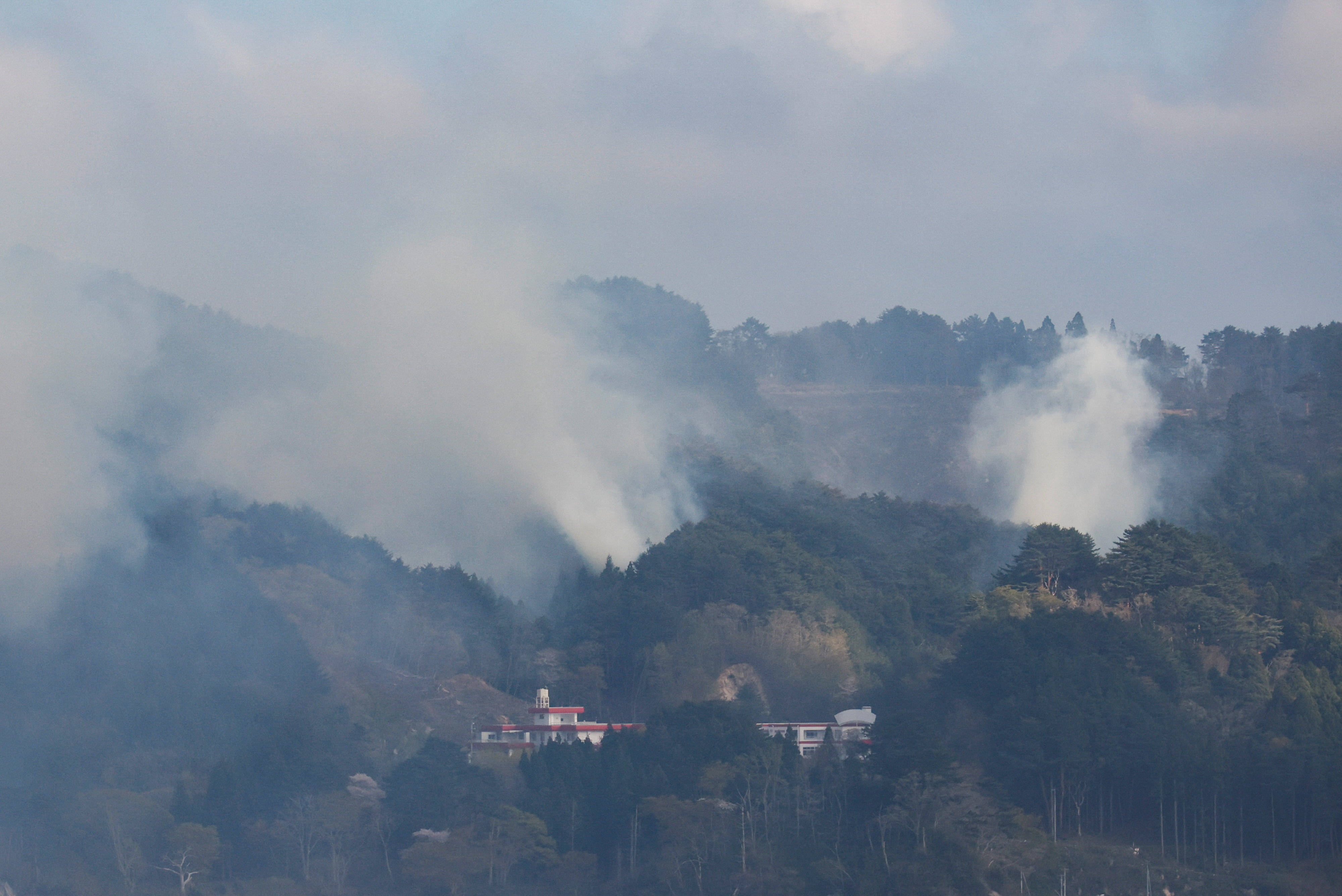 （外代一线）日本：扑救山火