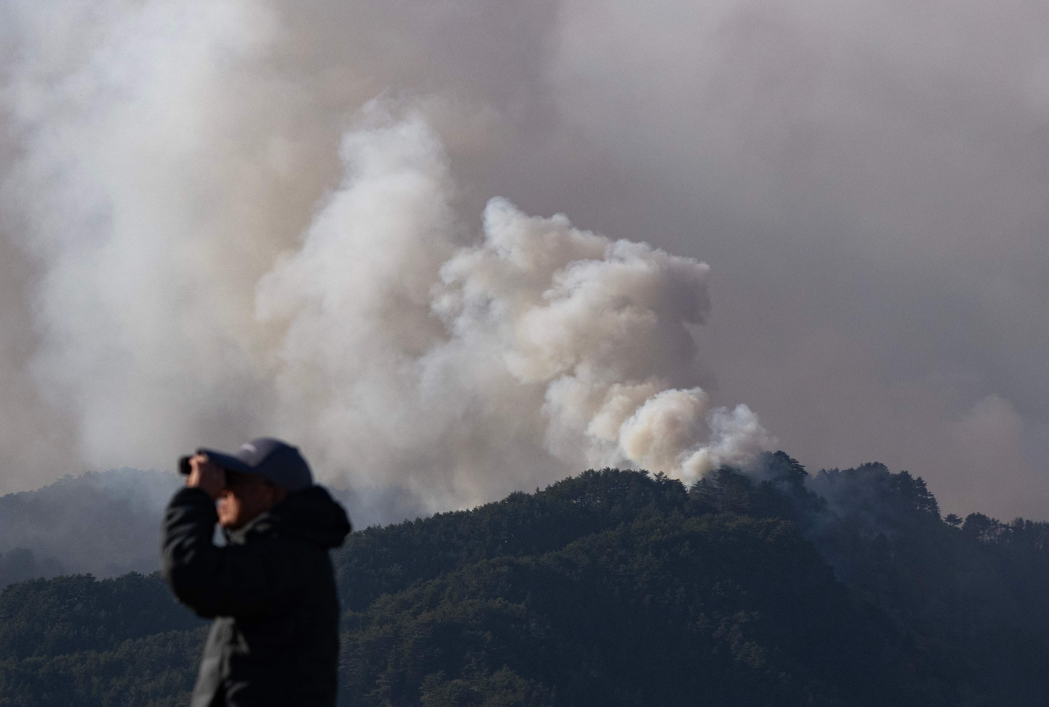 （外代一线）日本：扑救山火